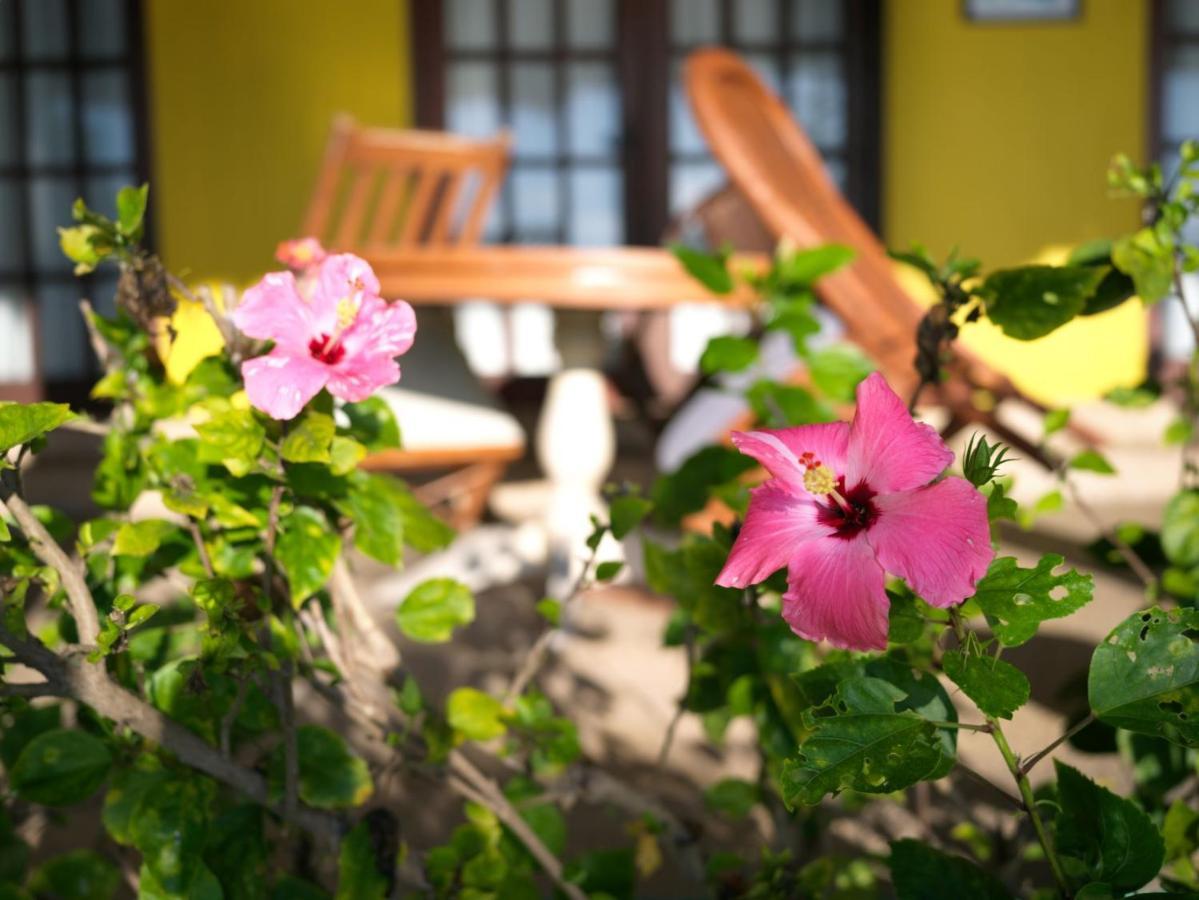 Las Flores Beachside Hotel Catmon Kültér fotó